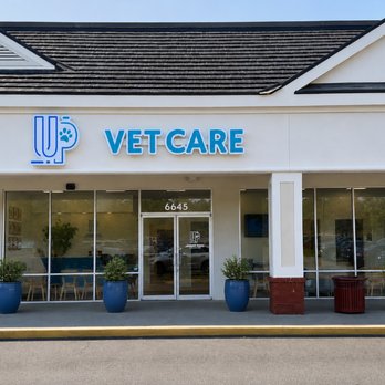 Urgent Paws Veterinary Care - Veterinarians Near Me - Midlothian, Virginia Urgent Paws Veterinary Care - Veterinarians Near Me - Midlothian, Virginia