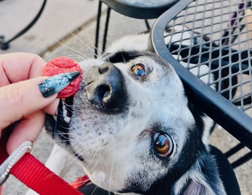 Those Guys Pies by null