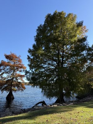 Orlandeaux's Café by null