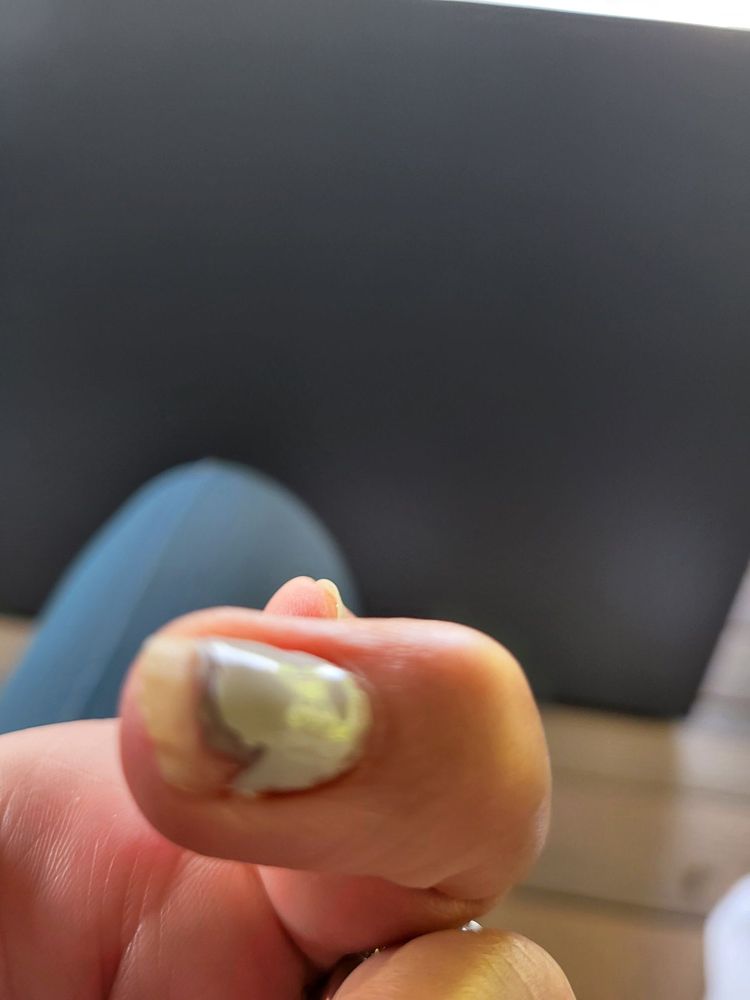 Nailed By Lynn Logo