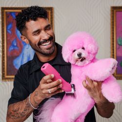 Mimo Grooming Studio - University Heights | Gabriel Feitosa - Pet safe dyes grooming