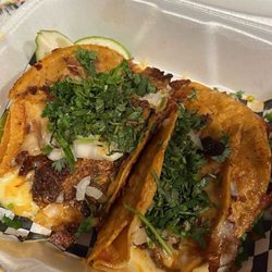 Mariachisss tacos - Quesobirria tacos