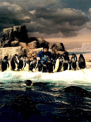 Port Of Nagoya Public Aquarium by null