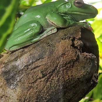 Aquarium Berlin - Aquariums Near Me - Berlin, BE Aquarium Berlin - Aquariums Near Me - Berlin, BE