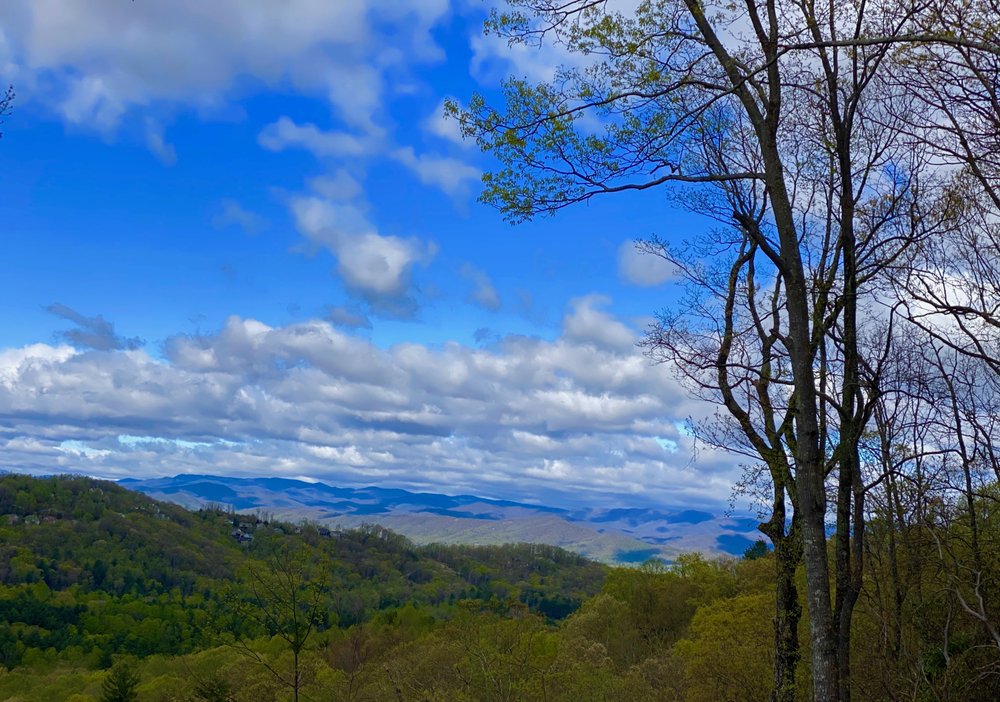 THE BOULDERS Request Information 279 Randy Dr, Hendersonville, North Carolina Real Estate