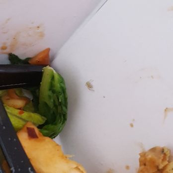 Panera Bread - Salad Near Me - Downey, California