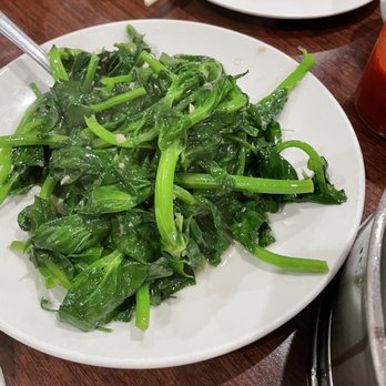 Shanghai Dumpling King - Pea Sprout with Garlic Sauce - Shanghainese Near Me - San Francisco, California Shanghai Dumpling King - Pea Sprout with Garlic Sauce - Shanghainese Near Me - San Francisco, California