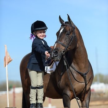 Witte Stables - Horseback Riding Near Me - Scottsdale, Arizona Witte Stables - Horseback Riding Near Me - Scottsdale, Arizona
