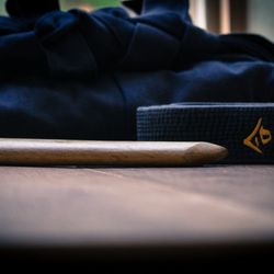 Mushin Ryu Aikido Dojo