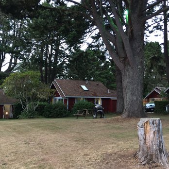 View Crest Lodge - The units are separate with open grassy areas. - Hotels Near Me - Trinidad, California