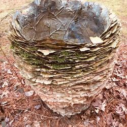 Cedar Oak Farm Pottery