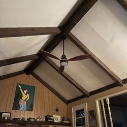 Team Kline - Ceiling fan