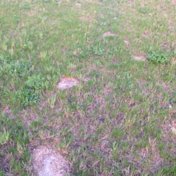 Fairfield Landscaping - Envy of the neighborhood...not