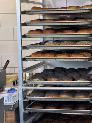 6th Borough Bagels by null