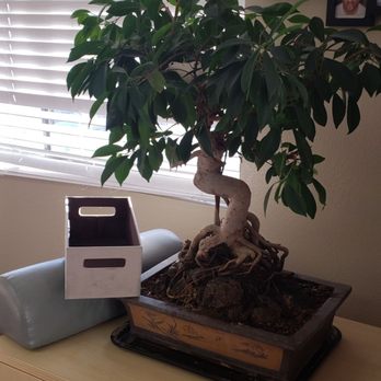 Thuy Tran, DC - Chiropractors Near Me - San Jose, California