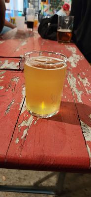 Sinistral Brewing Company by null