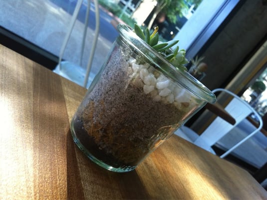 Hob Coffee East Village by null