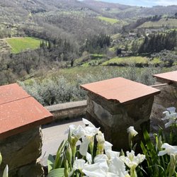 Alberto's Home Restaurant - The view!