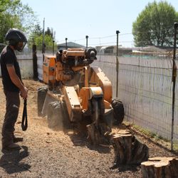 Top Tree Service - Stump Grinding