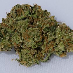 Santa Barbara Greenland Deliveries - Delicious SB Grown Sour Tangie