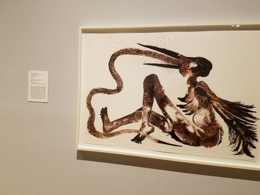 USF Contemporary Art Museum by null