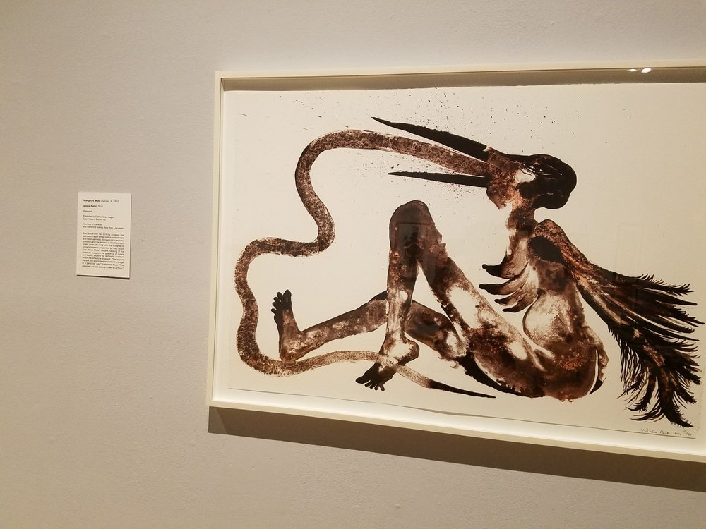 Social spots from USF Contemporary Art Museum