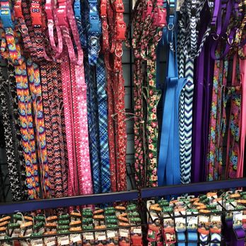 IB Pet - Every color of dog and Cat leash's  5/6/25 - Pet Stores Near Me - Chula Vista, California