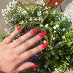 Pro Nails