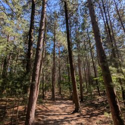 Saugatuck Dunes State Park