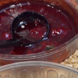 A roach in the ice cream topping A roach in the ice cream topping