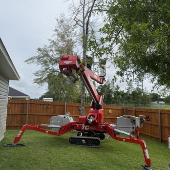 Knights Tree Service - Tree Services Near Me Knights Tree Service - Tree Services Near Me