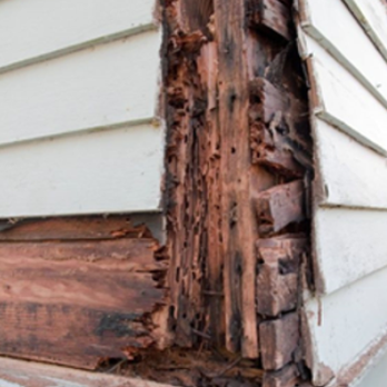 Paramount Home Inspection - Home Inspectors Near Me Paramount Home Inspection - Home Inspectors Near Me