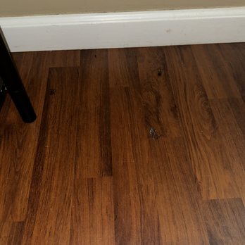 Dust Bunnies - Home Cleaning Near Me Dust Bunnies - Home Cleaning Near Me