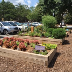 Ed Isakson/Alpharetta YMCA - Garden