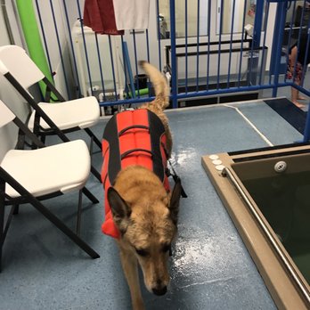 Aquatic Paws - Pet Services Near Me - Falls Church, Virginia