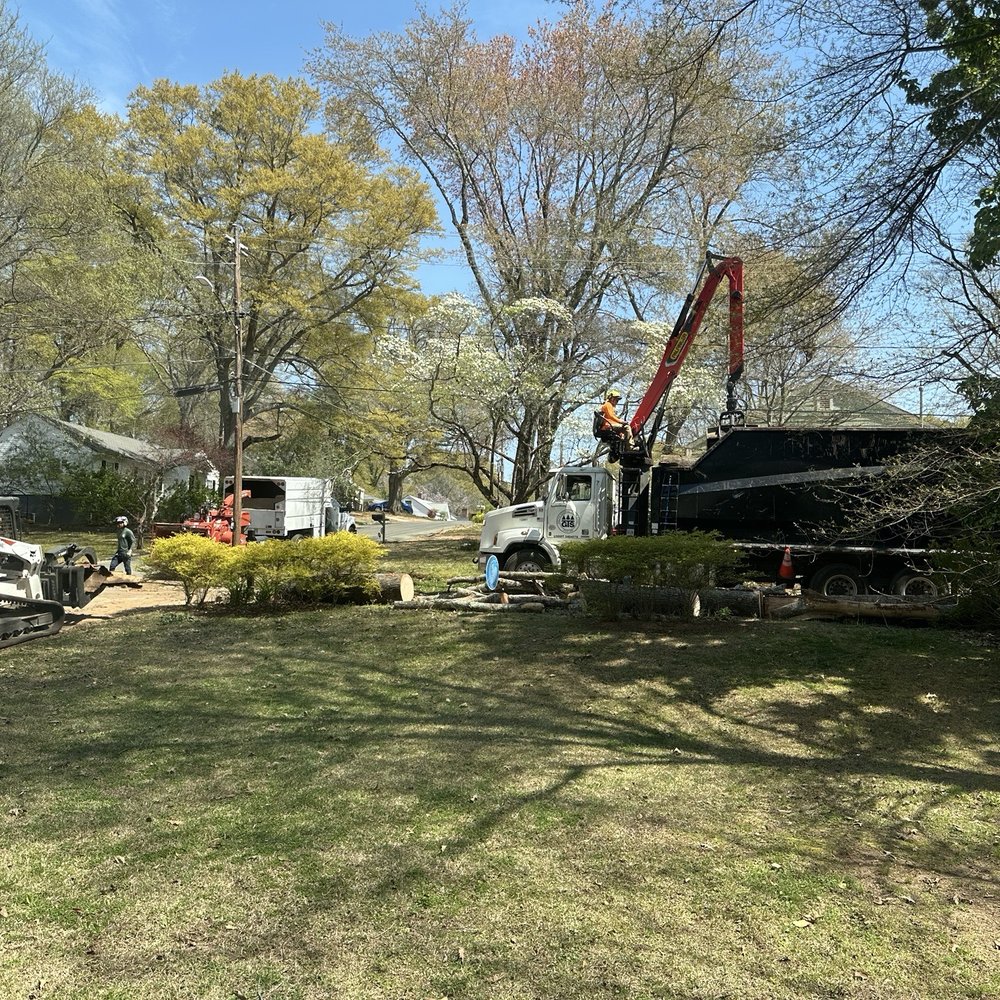 Gunnison Tree Services - Tree Services Near Me - Atlanta, Georgia Gunnison Tree Services - Tree Services Near Me - Atlanta, Georgia