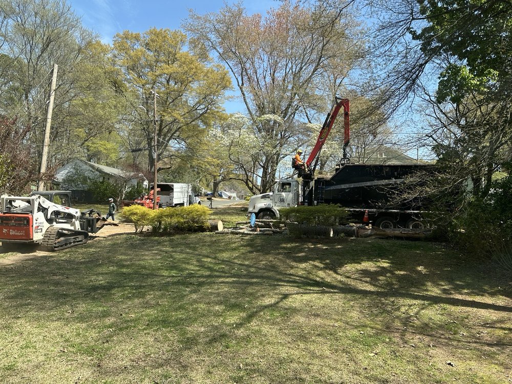 Gunnison Tree Services - tree service in Atlanta, GA