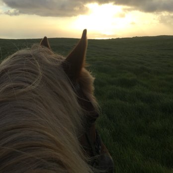 Paniolo Adventures - Horseback Riding Near Me Paniolo Adventures - Horseback Riding Near Me