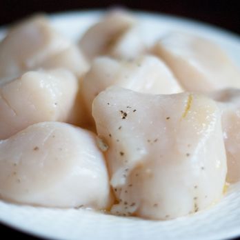 Captain Rick’s Seafood - Fresh Scallops - Seafood Markets Near Me - Mebane, North Carolina Captain Rick’s Seafood - Fresh Scallops - Seafood Markets Near Me - Mebane, North Carolina
