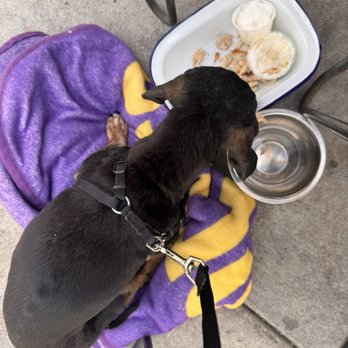 Cafe Topes - Dog friendly menu and space - Coffee & Tea Near Me - Carlsbad, California Cafe Topes - Dog friendly menu and space - Coffee & Tea Near Me - Carlsbad, California