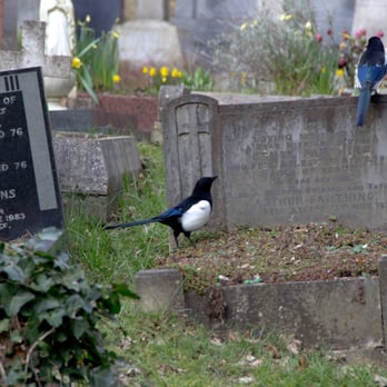 Highgate Cemetery - Funeral Services & Cemeteries Near Me - London, XGL Highgate Cemetery - Funeral Services & Cemeteries Near Me - London, XGL