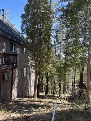 We specialize in tree trimming, removal, and maintenance. - We specialize in tree trimming, removal, and maintenance. We specialize in tree trimming, removal, and maintenance. - We specialize in tree trimming, removal, and maintenance.
