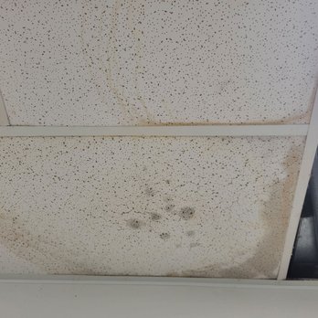 Bryan Street Tavern - Leaking causing mold - Pizza Near Me - Dallas, Texas Bryan Street Tavern - Leaking causing mold - Pizza Near Me - Dallas, Texas
