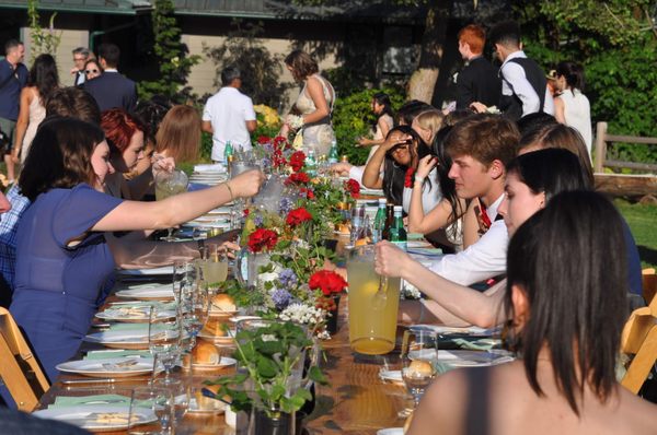 Seattle Farm by null