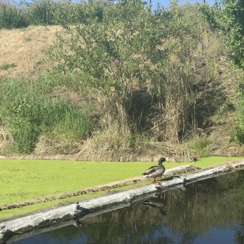 Talking Water Gardens - Parks Near Me - Albany, Oregon