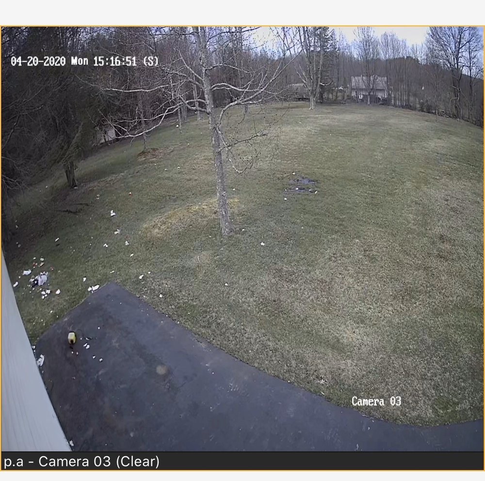 BUNNELL WASTE REMOVAL 267 Tryon St, Honesdale, Pennsylvania Junk