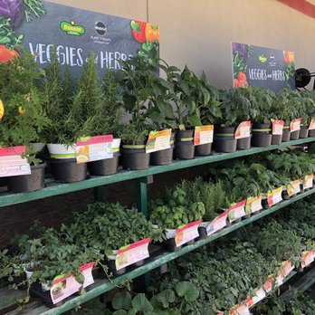 Tractor Supply - Auto Parts & Supplies Near Me - Hanford, California