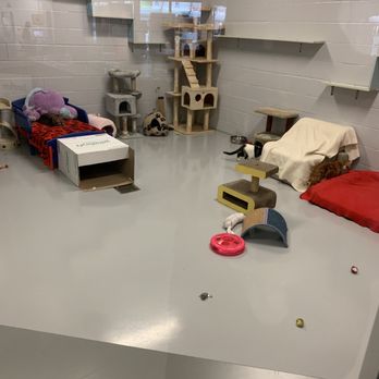 HELPING HANDS HUMANE SOCIETY - Updated January 2026 - 24 Photos & 30