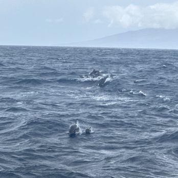 Teralani Sailing Adventures - Boating Near Me - Lahaina, Hawaii Teralani Sailing Adventures - Boating Near Me - Lahaina, Hawaii