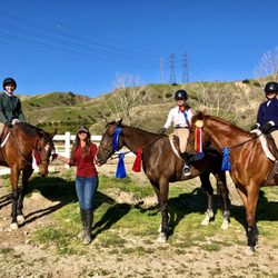 High Valley Horses